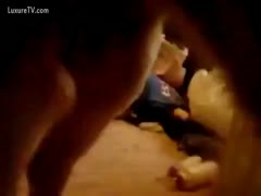 A group of actions of zoophilia